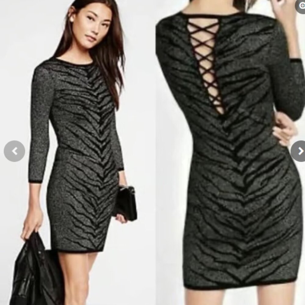 Express Metallic Sweater Dress